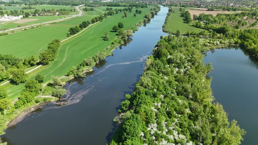 Aerial View of Lush Green Meadow with Scattered Trees Under Clear Blue Sky in Spring