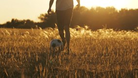 child runs after soccer ball on grassy field. child legs in motion, sunlight casting warm glow, dust rising adds dynamic energy. child play chasing ball in vibrant outdoor game. - Powered by Shutterstock - Get 15% off with code: PIKWIZARD15