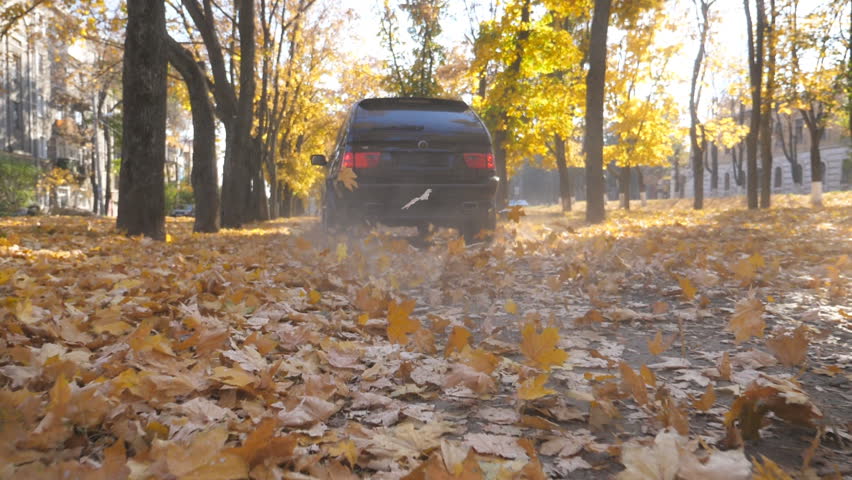 Camera follow to powerful car driving on park road over yellow autumn leaves in sunny day. Colorful fall foliage takes off behind automobile. SUV crossing through empty road. Bottom view Slow motion