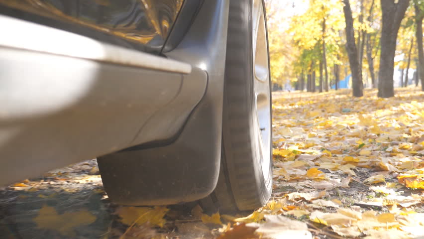 Wheel of powerful car driving on park road over yellow autumn leaves in sunny day. Colorful autumn foliage flies out from under wheel of automobile. SUV crossing through empty road. Slow mo Close up