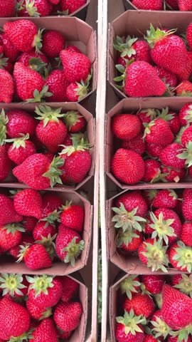 Bright red strawberries are packed in paper baskets, showcasing their freshness at a farmers market. Eco-Friendly cardboard boxes to reduce plastic waste, top view, vertical video
