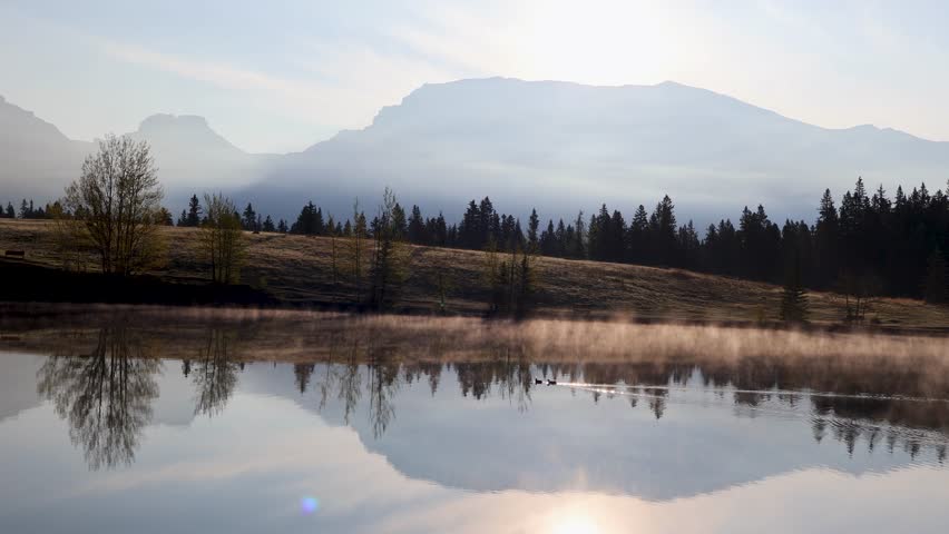 Early morning aerial footage of a tranquil lake with ducks gliding across the water, mist rising from the surface, and mountains silhouetted by sunrise light.

