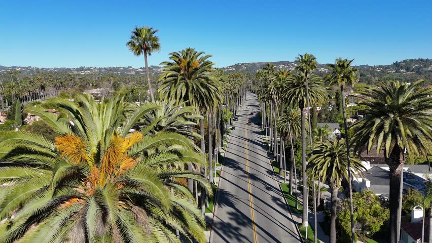 A beautiful Palm Tree Lined Road set within a picturesque and scenic landscape view