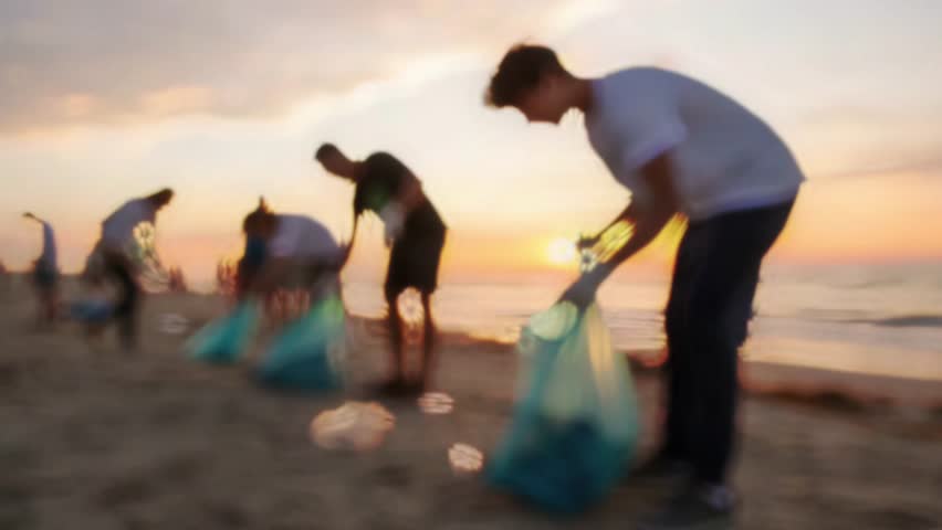 Shutterstock Video