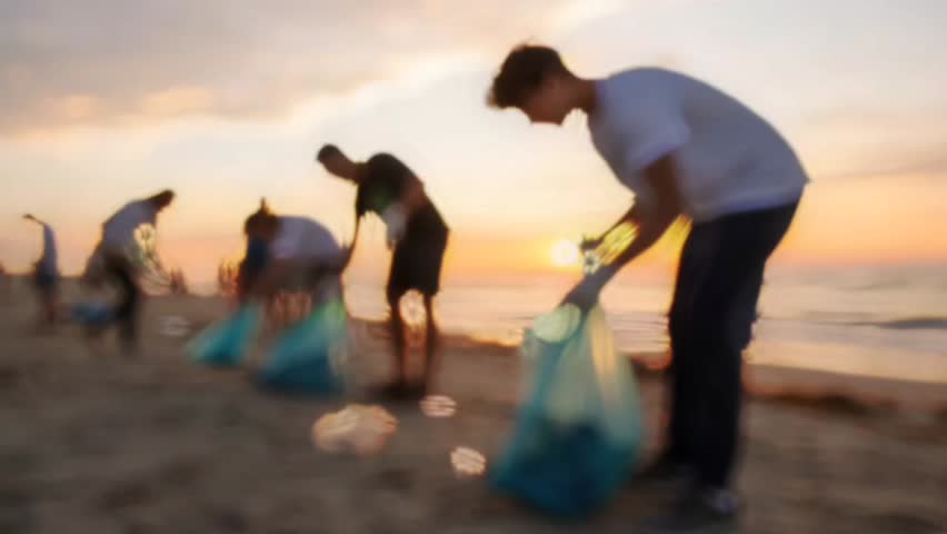 Shutterstock Video