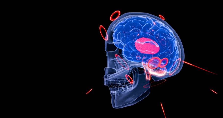 Human brain structure lit up with neural sparks to represent brain connectivity, mental focus, and AI-inspired deep neural learning systems – 3D Rendering