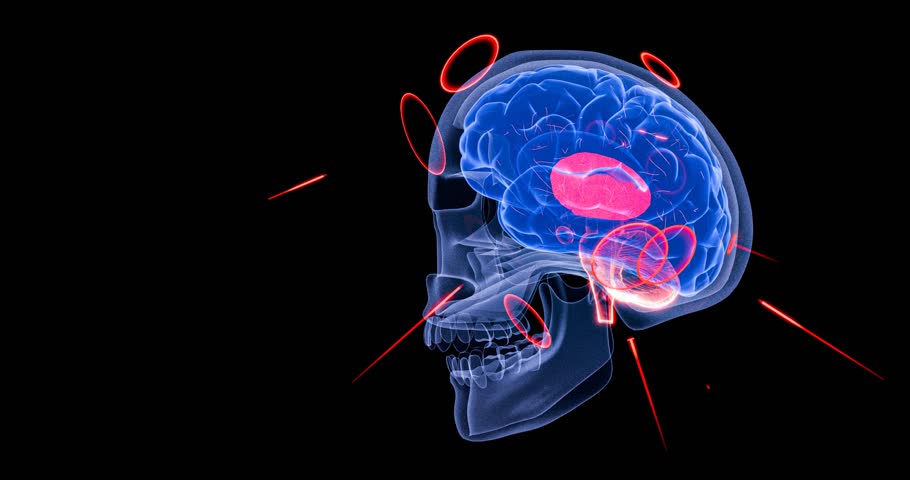 Human brain structure lit up with neural sparks to represent brain connectivity, mental focus, and AI-inspired deep neural learning systems – 3D Rendering
