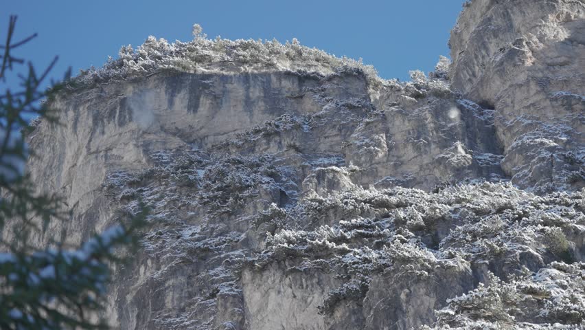 Shutterstock Video