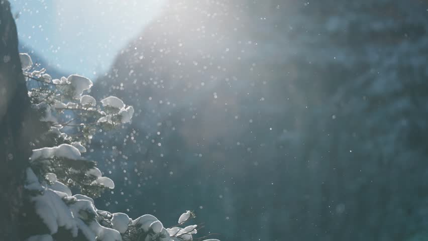 Shutterstock Video