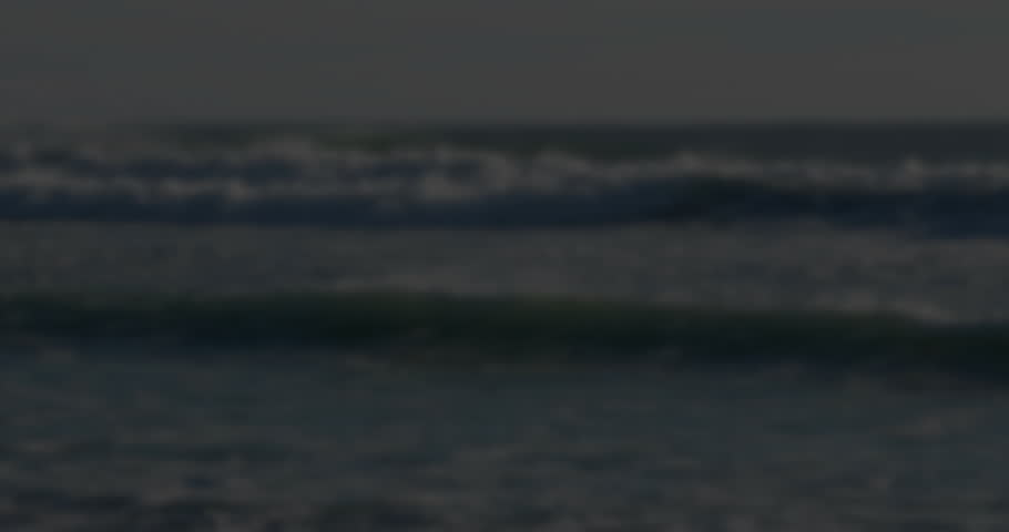Shutterstock Video