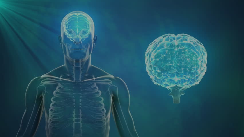 Rotating skeleton showing padlock unlocking, camera morphing into bulb generating brain insight. Anatomy, technology, innovation, neuroscience, visualization, cybersecurity, data - Powered by Shutterstock - Get 15% off with code: PIKWIZARD15