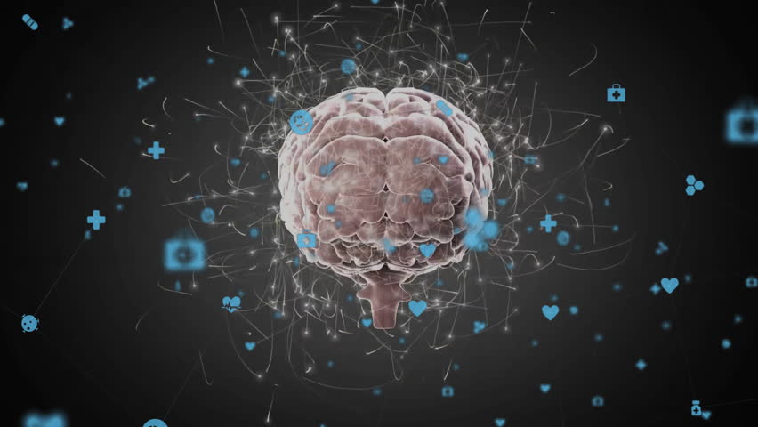 Shutterstock Video