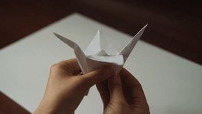 Folding a paper origami white crane, close-up - Powered by Shutterstock - Get 15% off with code: PIKWIZARD15