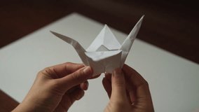 Folding a paper origami white crane, close-up - Powered by Shutterstock - Get 15% off with code: PIKWIZARD15