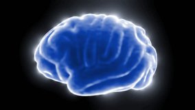 Glowing Brain Rotate Loop Animation With Alpha Channel - Powered by Shutterstock - Get 15% off with code: PIKWIZARD15