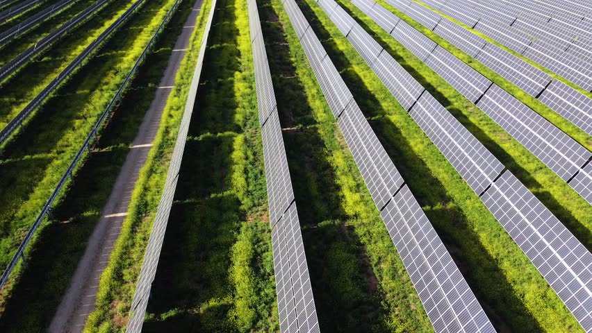 Solar panels stretching across grassy field, generating renewable energy through photovoltaic technology from elevated perspective