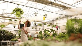 Greenhouse owner inspecting hanging plant using tablet - Powered by Shutterstock - Get 15% off with code: PIKWIZARD15