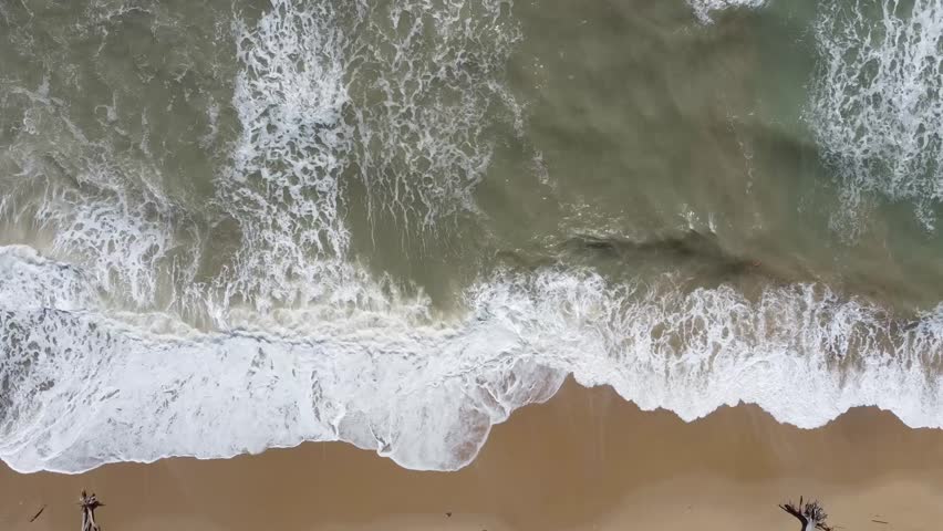Shutterstock Video