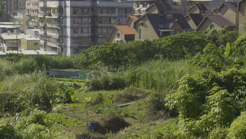 Urban Farming on the Outskirts of Taipei – Tilt-Up Shot