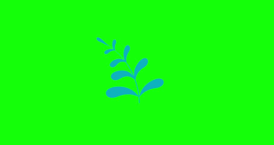Shutterstock Video