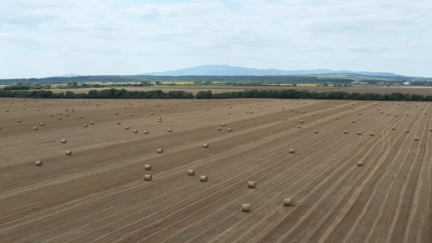 Dry rural field with hay stacks, drone flying over aerial