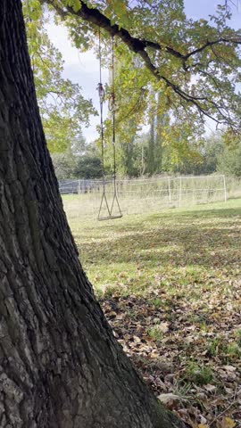 Tree swing in a countryside field 