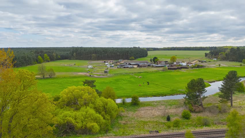 Dairy farm rural grass field landscape timelapse cows grazing Thetford United Kingdom