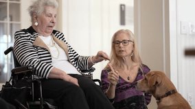 A elderly woman seated in a wheelchair interacts with her laughing daughter and a friendly dog. They are enjoying a heartfelt family moment indoors. - Powered by Shutterstock - Get 15% off with code: PIKWIZARD15