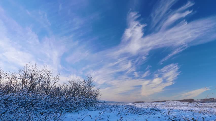Serene winter sunset scene showing snowy terrain and delicate bushes under a sky filled with soft, wispy clouds in cold seasonal light.