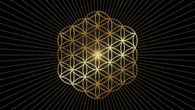 Video animation of Gold Flower of Life, Sacred Geometry. Loop footage of Mystic Seed of Life mandala, golden radiant drawing, crop circles, shiny special effects on black starry galaxy background - Powered by Shutterstock - Get 15% off with code: PIKWIZARD15