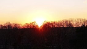 Drone pan right capturing sunrise over leafless trees with vivid warm colors and clear sky. - Powered by Shutterstock - Get 15% off with code: PIKWIZARD15