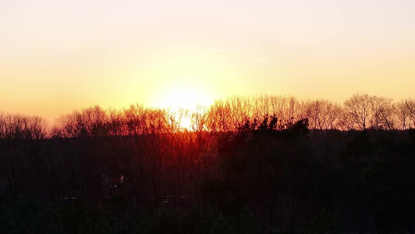 Beautiful sunset scene with bare trees and orange sky over forest landscape.