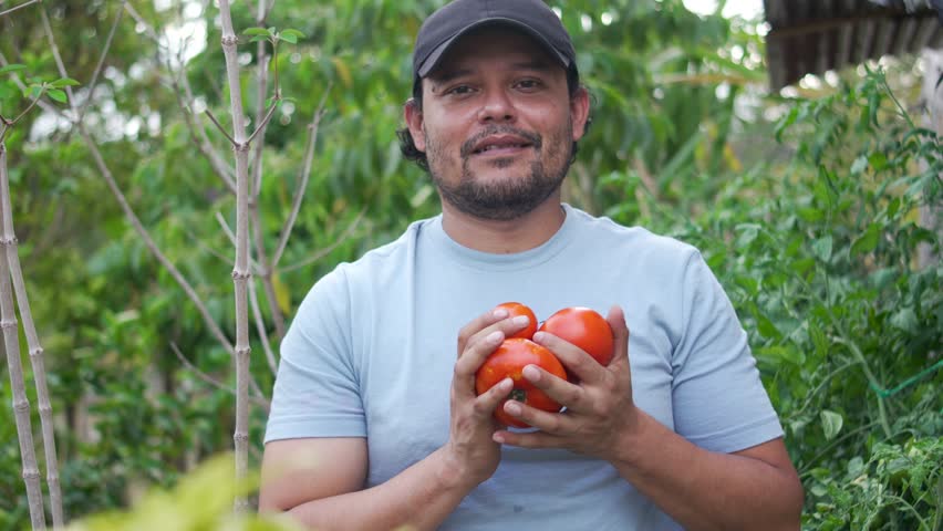 Latin Farmer Standing in Vegetable Garden, Local Agriculture economy