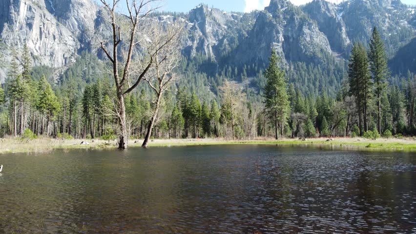 Spring Snowmelt In The Subalpine Meadows Of Yosemite National Park, California, USA. Scenic Valley Views (Aerial Ascend) Approaching The Dramatic Mountain Range Backdrop.