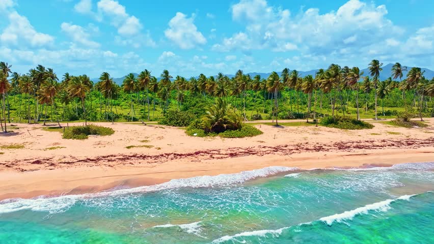 Turquoise ocean waves on a beautiful tropical beach on a sunny day. Vibrant coconut palms in front of a tropical landscape. Blue sky with clouds. Summer vacation on a paradise island.