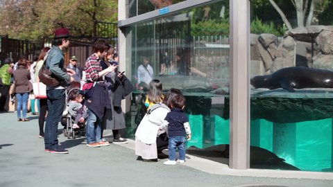 TOKYO, JAPAN - CIRCA APRIL: Visitors in Ueno zoo stand in front of glass with sea mammals on circa April, 2013 in Tokyo, Japan. The Ueno Zoo is a Japanese oldest urban zoo