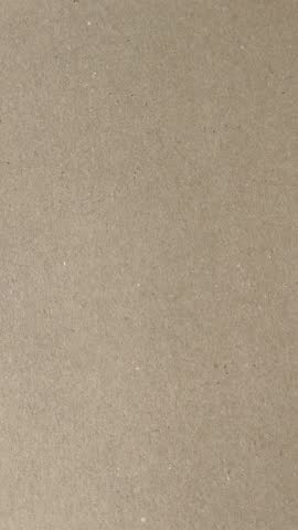 Italian caesar pizza with cheese and chicken, lettuce leaves and sauce. Fast food, sliced pizza