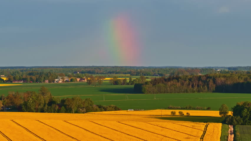 A vibrant rainbow begins over a sunny landscape filled with yellow and green fields.