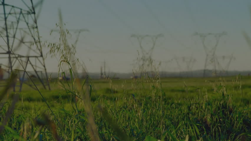 Shutterstock Video