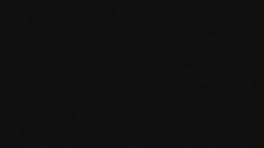 Shutterstock Video