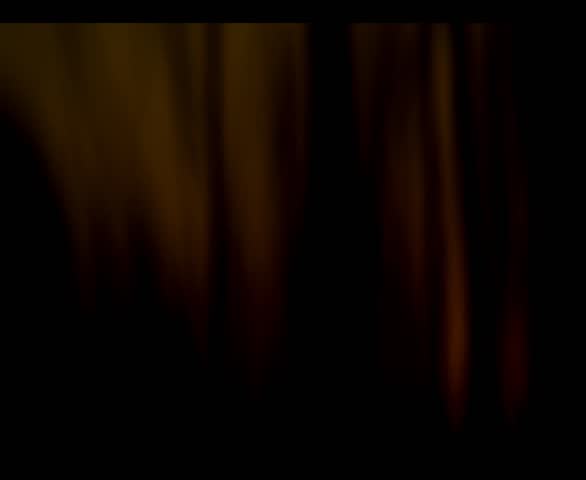 Shutterstock Video