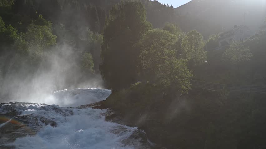 Shutterstock Video