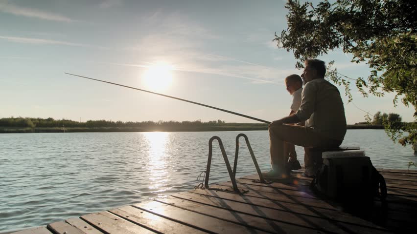 Shutterstock Video