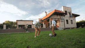 Family members playing soccer together on sunny backyard lawn, sharing joyful moments of bonding and active leisure during weekend recreational time - Powered by Shutterstock - Get 15% off with code: PIKWIZARD15