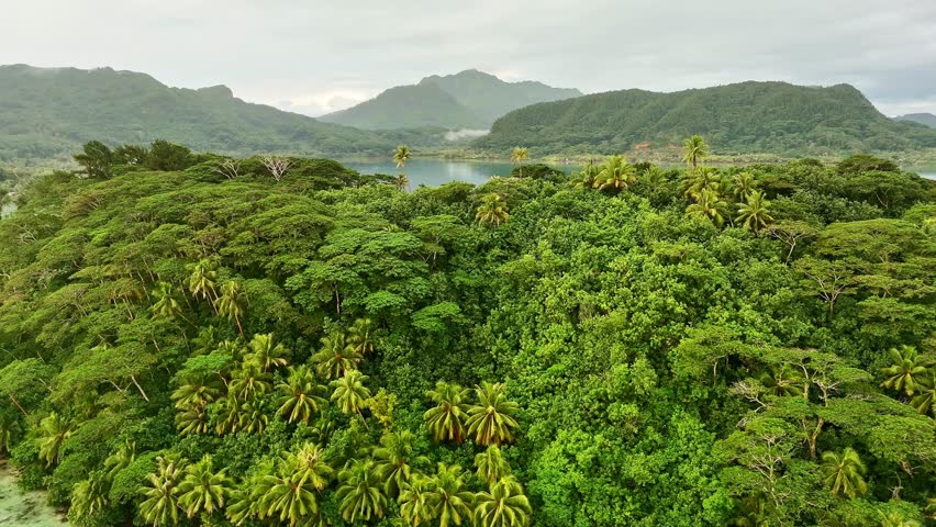 Drone aerial view of Huahine island mountains. Tahiti French Polynesia. Tropical paradise, Tahiti adventure vacation. Green jungle mountain forest.