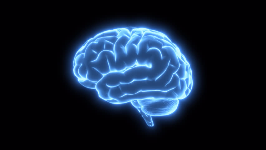 3D animation of a blue glowing human brain Loop video with alpha channel