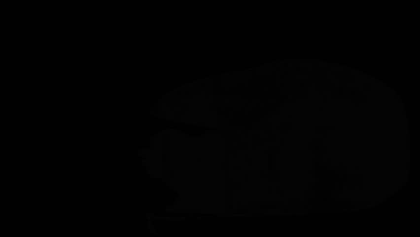 Shutterstock Video