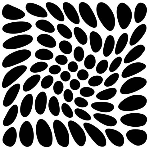 Shutterstock Video