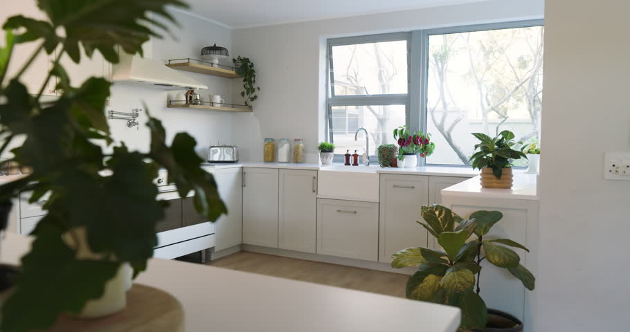 Modern kitchen with white cabinets and countertop, featuring plants and cereal jars, at home. Contemporary, minimalist, interior, home, design, luxury