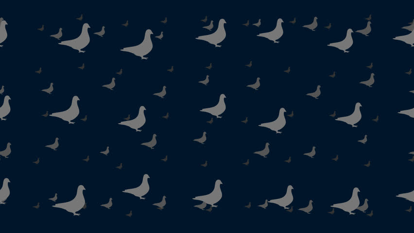 Bird pigeon symbols float horizontally from left to right. Parallax fly effect. Floating symbols are located randomly. Seamless looped 4k animation on dark blue background